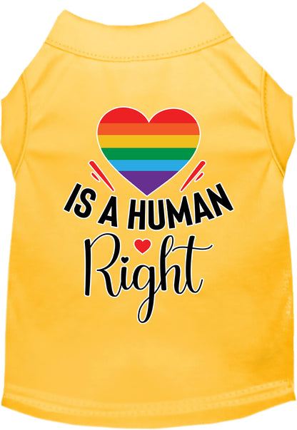 Pride Cat or Dog Shirt for Pets "Love is a Human Right"