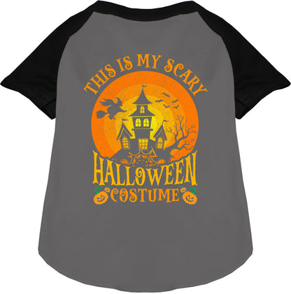 Gray pet raglan shirt with Halloween design