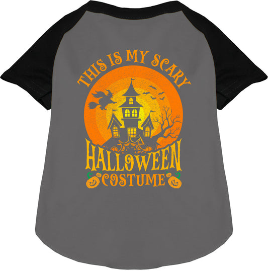 Gray pet raglan shirt with Halloween design