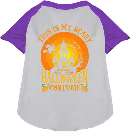 Purple pet raglan shirt with Halloween design