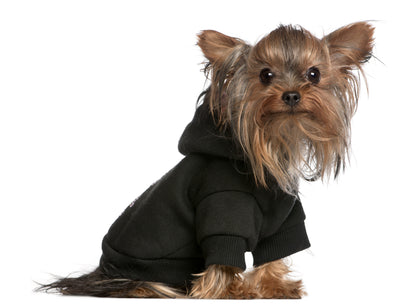 Blank, Plain Dog Cat Hoodie for Pets