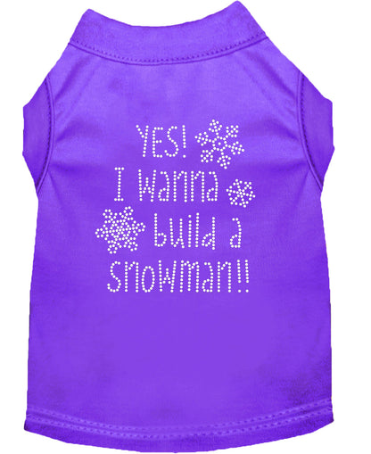 Camisa navideña para perros y gatos con diamantes de imitación, "Sí, quiero construir un muñeco de nieve"