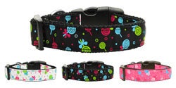 Pet Dog & Cat Nylon Collar or Leash, "Lollipops"