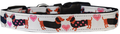 Pet Dog & Cat Nylon Collar or Leash, "Pink Doxie Love"