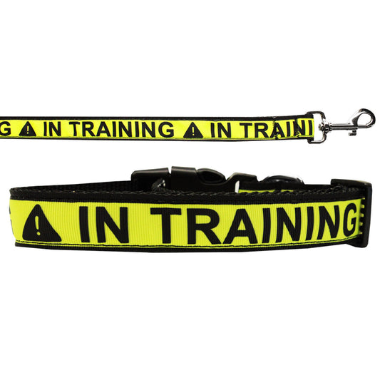 Pet Dog & Cat Nylon Collar or Leash, &quot;In Training&quot;