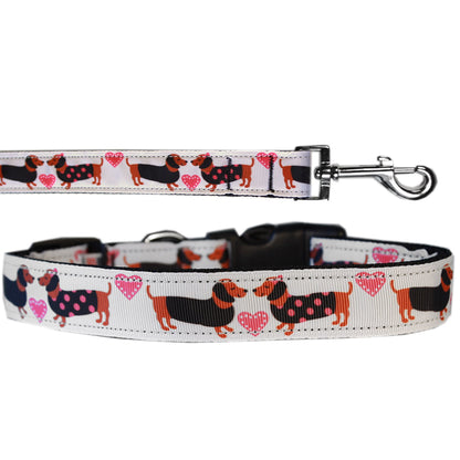 Pet Dog & Cat Nylon Collar or Leash, "Pink Doxie Love"