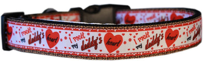 Pet Dog & Cat Nylon Collar or Leash, "Melt Daddy's Heart"