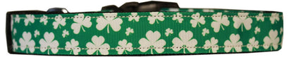 Pet Dog & Cat Nylon Collar or Leash, "Shamrocks"