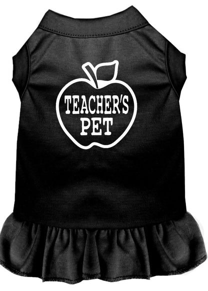 Pet Dog & Cat Dress Screen Printed, "Teacher's Pet"