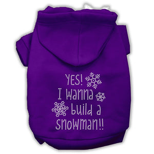 Christmas Pet, Dog & Cat Hoodie Rhinestone, "Yes! I Want To Build A Snowman"