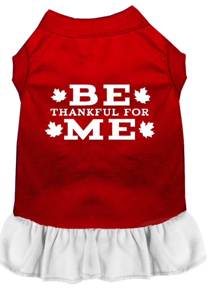 Pet Dog & Cat Dress Screen Printed, "Be Thankful For Me"