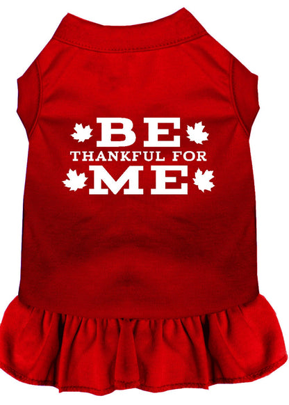 Pet Dog & Cat Dress Screen Printed, "Be Thankful For Me"