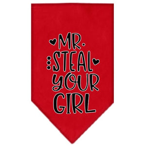 Pet and Dog Bandana Screen Printed, "Mr. Steal Your Girl"