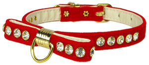 Dog, Puppy and Pet Collar, "Velvet Bow"