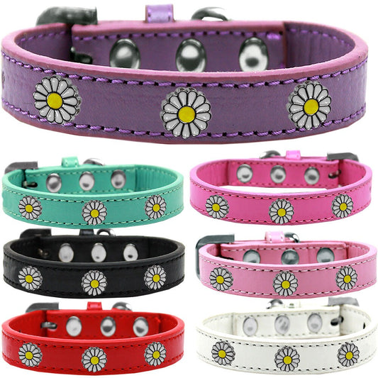 Dog, Puppy and Pet Widget Fashion Collar, "White Daisies"