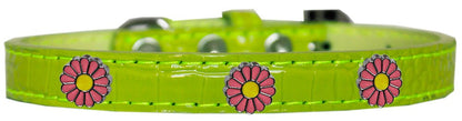 Dog, Puppy & Pet Designer Croc Widget Collar, "Pink Daisies"