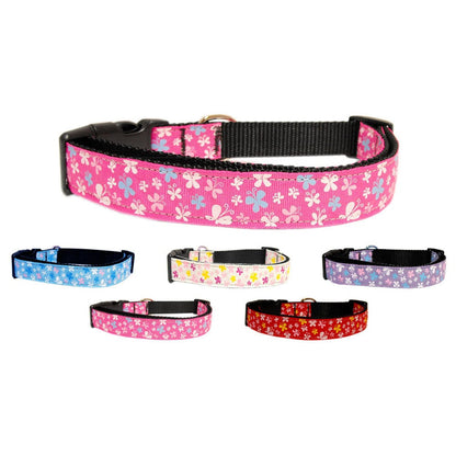 Pet Dog & Cat Nylon Collar or Leash, &quot;Butterfly&quot;