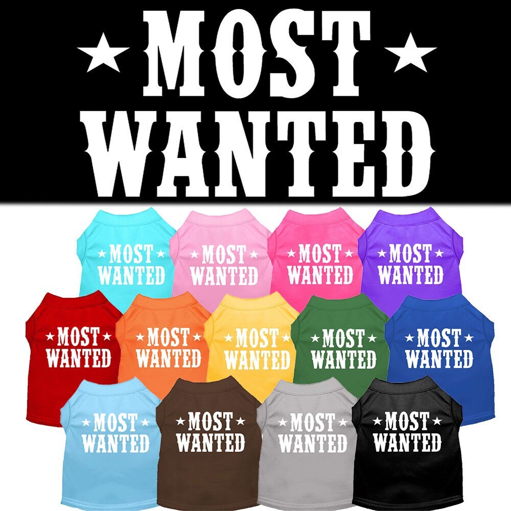 Pet Dog & Cat Shirt Screen Printed, "Most Wanted"