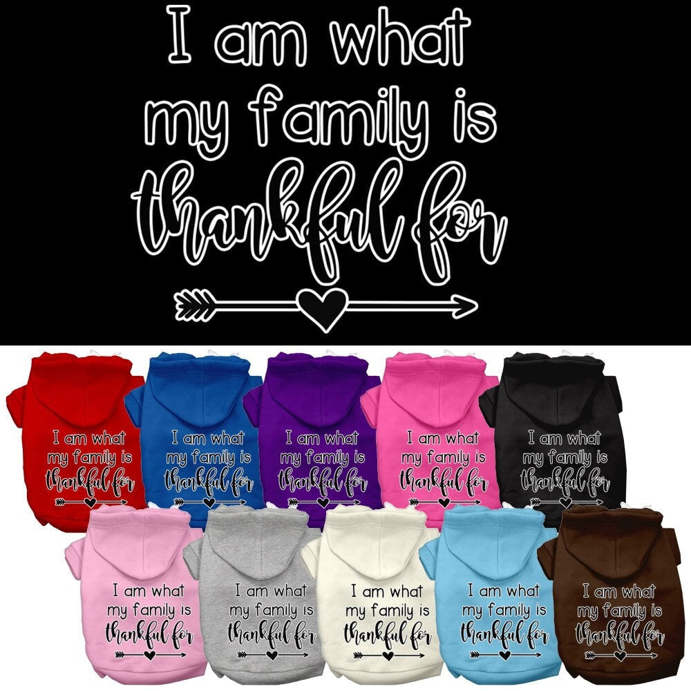 Thanksgiving Pet, Dog and Cat Hoodie Screen Printed, "I Am What My Family Is Thankful For"