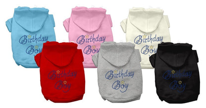 Birthday Pet Dog & Cat Hoodie Rhinestone, "Birthday Boy"