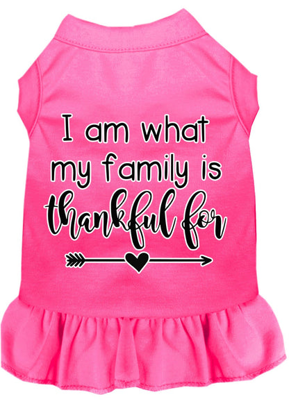 Pet Dog & Cat Dress Screen Printed, "I Am What My Family Is Thankful For"