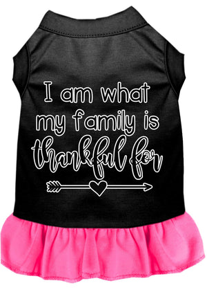 Pet Dog & Cat Dress Screen Printed, "I Am What My Family Is Thankful For"
