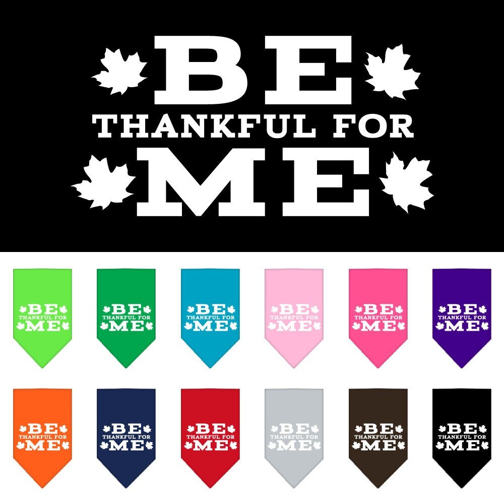 Thanksgiving Pet and Dog Bandana Screen Printed, "Be Thankful For Me"