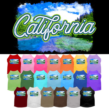 Pet Dog & Cat Screen Printed Shirt for Medium to Large Pets (Sizes 2XL-6XL), &quot;California Summer&quot;