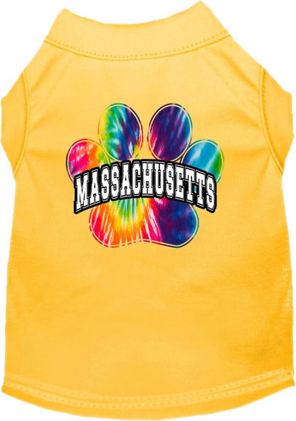 Pet Dog & Cat Screen Printed Shirt for Medium to Large Pets (Sizes 2XL-6XL), "Massachusetts Bright Tie Dye"