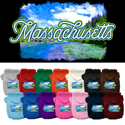 Pet Dog & Cat Screen Printed Hoodie for Medium to Large Pets (Sizes 2XL-6XL), &quot;Massachusetts Summer&quot;