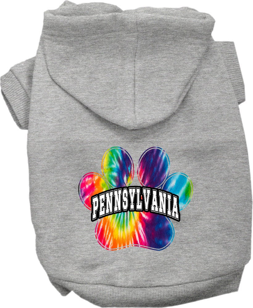 Pet Dog & Cat Screen Printed Hoodie for Medium to Large Pets (Sizes 2XL-6XL), "Pennsylvania Bright Tie Dye"