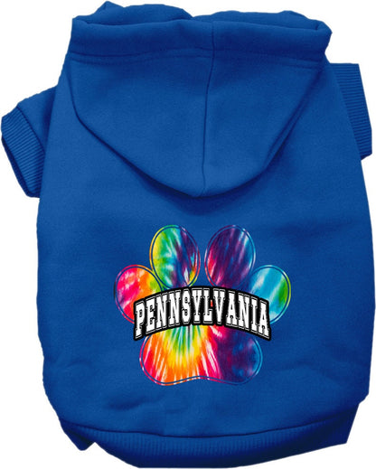 Pet Dog & Cat Screen Printed Hoodie for Medium to Large Pets (Sizes 2XL-6XL), "Pennsylvania Bright Tie Dye"