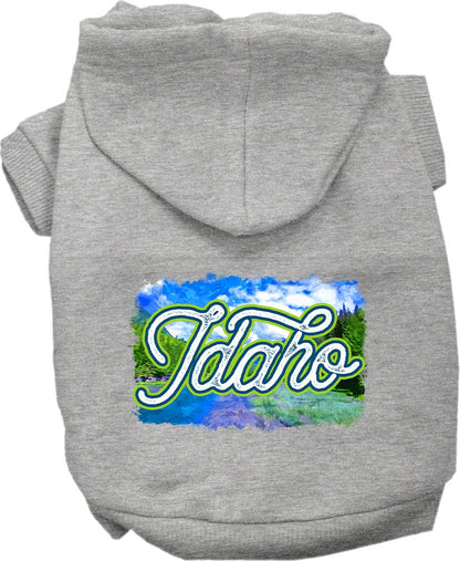 Pet Dog & Cat Screen Printed Hoodie for Medium to Large Pets (Sizes 2XL-6XL), "Idaho Summer"