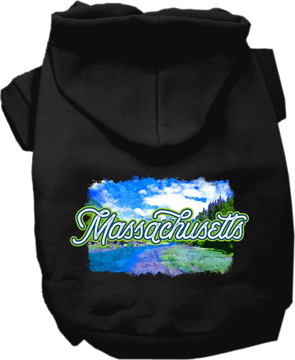 Pet Dog & Cat Screen Printed Hoodie for Medium to Large Pets (Sizes 2XL-6XL), "Massachusetts Summer"