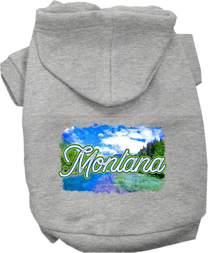 Pet Dog & Cat Screen Printed Hoodie for Medium to Large Pets (Sizes 2XL-6XL), "Montana Summer"