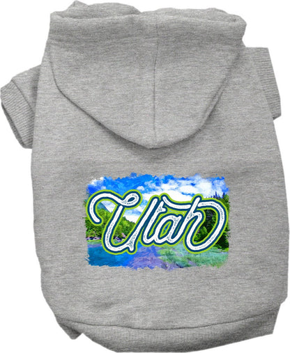 Pet Dog & Cat Screen Printed Hoodie for Small to Medium Pets (Sizes XS-XL), "Utah Summer"