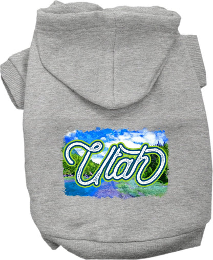 Pet Dog & Cat Screen Printed Hoodie for Medium to Large Pets (Sizes 2XL-6XL), "Utah Summer"