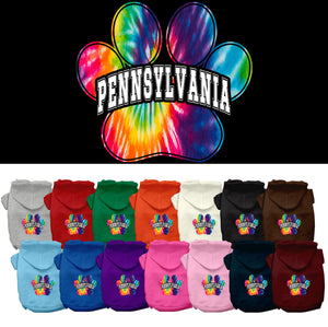 Pet Dog & Cat Screen Printed Hoodie for Small to Medium Pets (Sizes XS-XL), &quot;Pennsylvania Bright Tie Dye&quot;