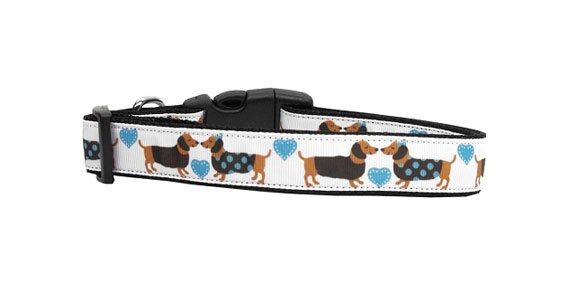 Pet Dog & Cat Nylon Collar or Leash, "Doxie Love"