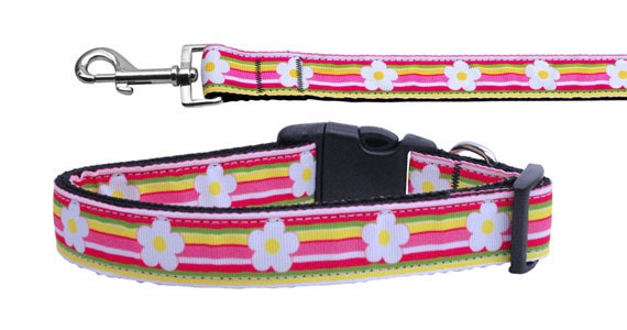 Pet Dog & Cat Nylon Collar or Leash, "Striped Daisy"