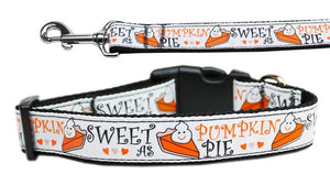 Pet Dog & Cat Nylon Collar or Leash, "Pumpkin Pie"