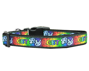 Pet Dog & Cat Nylon Collar or Leash, "LGBT"